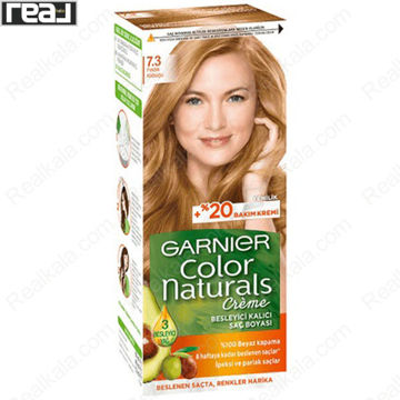 کیت رنگ موی گیاهی گارنیر بدون آمونیاک شماره 7.3 Garnier Color Naturals