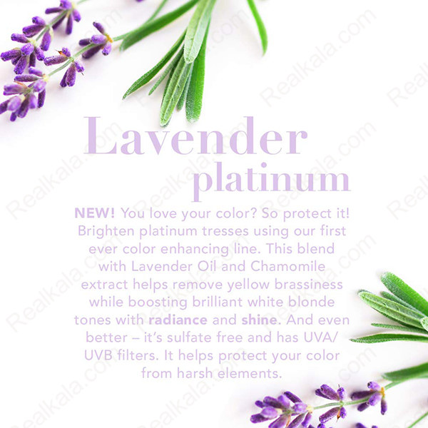 Ogx Lavender Penetrating Oil 100ml