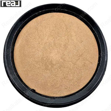 تصویر  رژگونه ترکیبی رنسانس شماره 103 Renaissance Blush On Terracotta