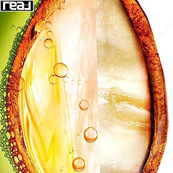 Garnier Fructis Hydra Liss 10‑in‑1 – گرافیک ترکیبات شامل روغن آرگان و کراتین گیاهی برای تغذیه و نرمی مو