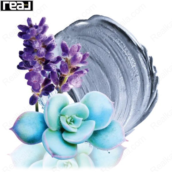 شامپو بدن کرمی نیوا حاوی آگاوه آبی و لاوندر Nivea Clay Fresh Blue Agave & Lavender 250ml