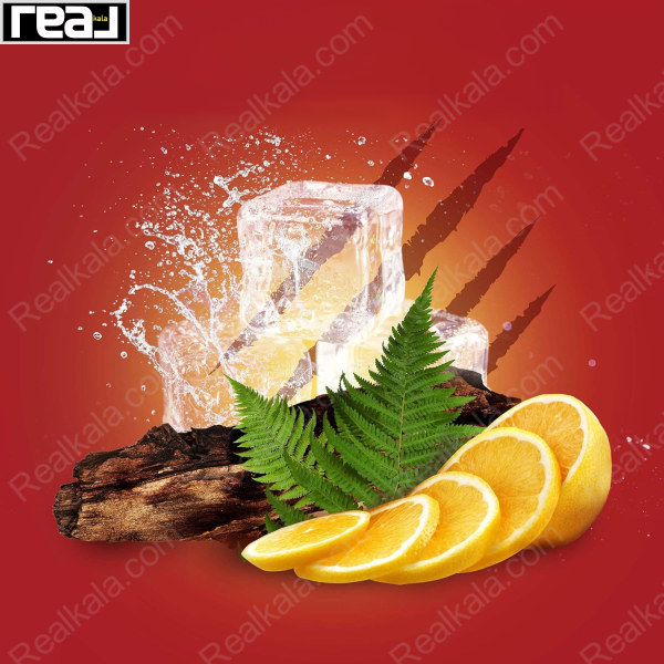 ترکیب یخ، چوب و مرکبات در رایحه اسپری بیرگلاو الد اسپایس