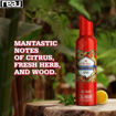 اسپری بدن الد اسپایس بدون گاز مدل لیون پراید Old Spice Lionpride No Gas 24 Hour Freshness Deodorant Body Spray