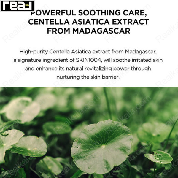 عصاره Centella Asiatica ماداگاسکار در ضد آفتاب اسکین1004