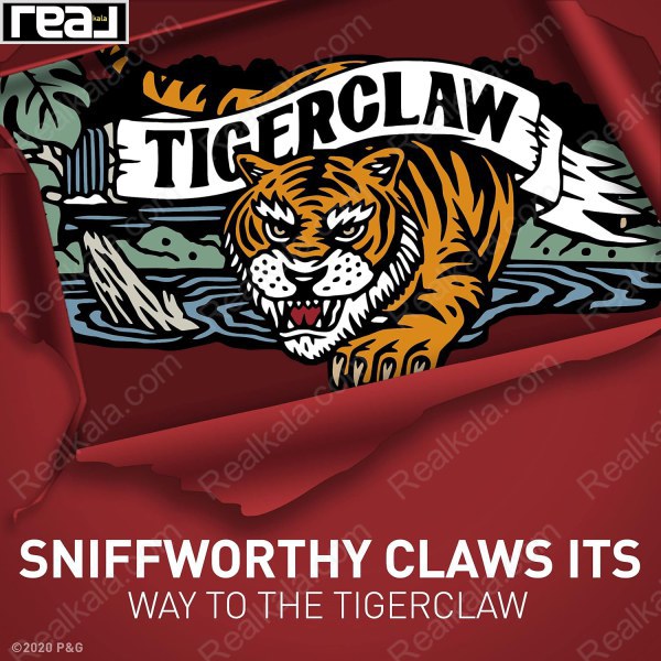 مام استیک الد اسپایس تایگرکلا مردانه با گرافیک ببر در جنگل و طراحی دراماتیک