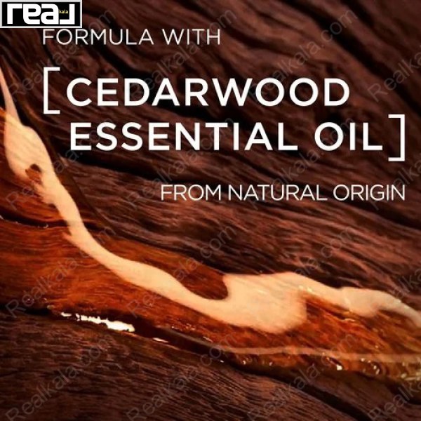 شامپو بدن، مو و ریش مردانه لورال باربر کلاب 3 در 1 حاوی روغن چوب سرو