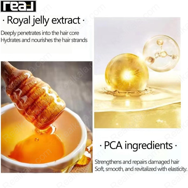 عصاره ژل رویال و ترکیبات PCA در شامپو فینو شیسیدو برای کمک به رطوبت و تقویت ظاهر موهای آسیب‌دیده