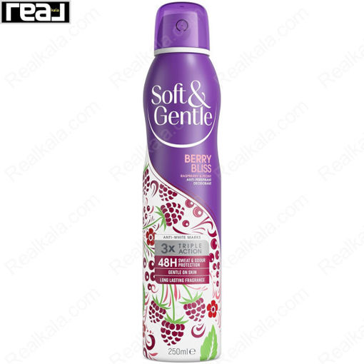 اسپری ضد تعریق زنانه سافت اند جنتل سه‌ گانه رایحه بری بلیس Soft & Gentle Triple Action Berry Bllis 250ml