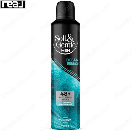 اسپری ضد تعریق مردانه سافت اند جنتل سه‌ گانه رایحه نسیم اقیانوس Soft & Gentle Triple Action Ocean Breeze Spray 250ml