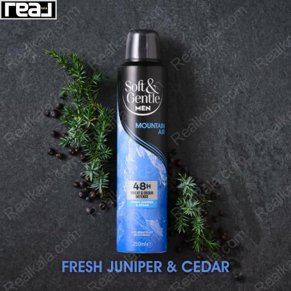 اسپری مردانه سافت اند جنتل مدل Mountain Air