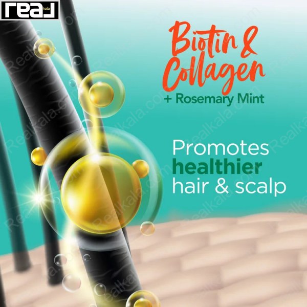تقویت پوست سر و مو با بیوتین، کلاژن و عصاره‌ های گیاهی
