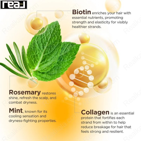 خواص بیوتین، کلاژن، رزماری و نعناع – تقویت مو، کاهش خشکی، افزایش درخشندگی و استحکام تارهای مو