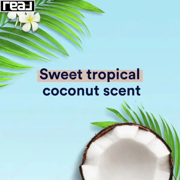 نمای مفهومی رایحه نارگیل با پس‌زمینه استوایی و گل‌های پلومریا	