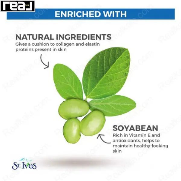 ترکیبات لوسیون بدن سینت ایوز شامل عصاره سویا، برگ سبز و عناصر طبیعی بازسازی‌کننده