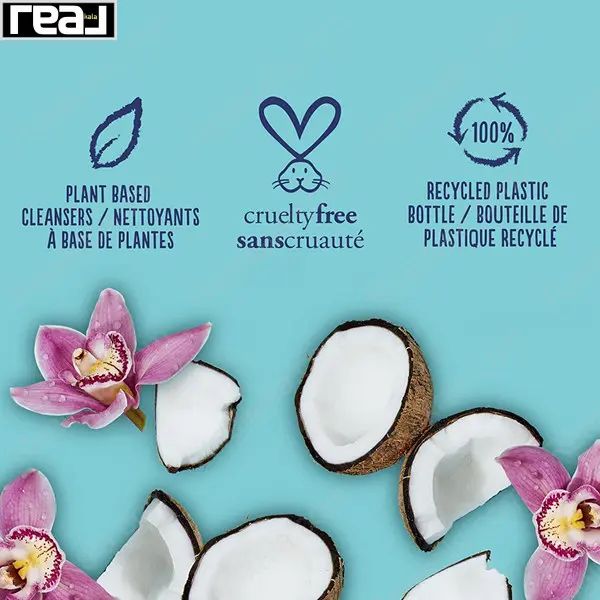 ترکیبات شامپو بدن سینت ایوز شامل نارگیل، گل ارکیده و نمادهای آبرسانی طبیعی