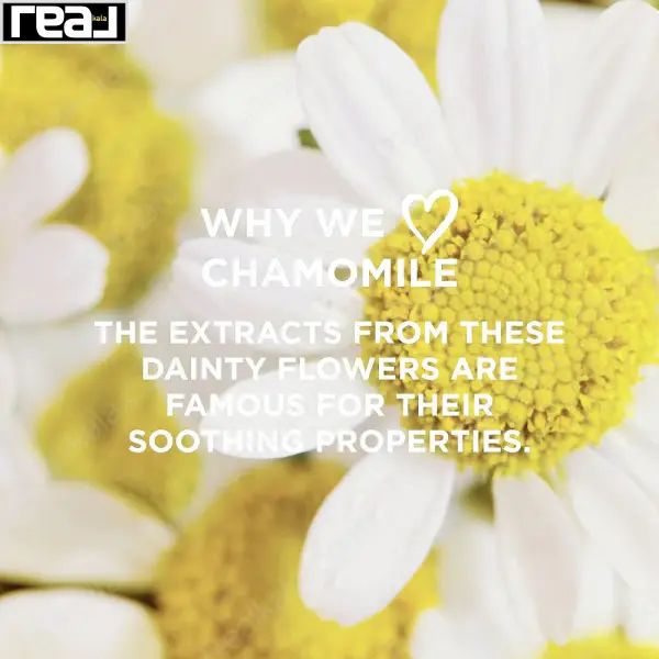 ژل شستشو آرامش‌بخش سینت ایوز مدل بابونه حجم 200 میل تبلیغ تصویری با گل بابونه