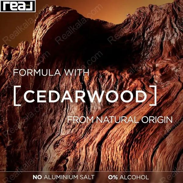 مام رول ضد تعریق لورال مدل باربرکلاب حجم 50 میل نمای چوب سدر با تأکید بر ترکیبات طبیعی