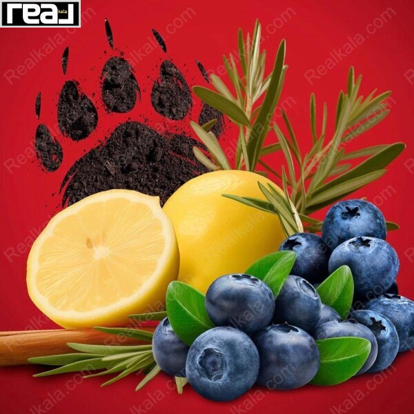 مام استیک بیرگلاو مردانه با عناصر رایحه لیمو، بلوبری، دارچین و رزماری	