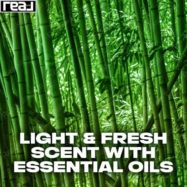 دئودورانت مردانه AXE Wild Bamboo با رایحه ملایم و طراوت‌بخش بامبو 